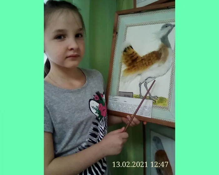 Творческая работа Дрофа (Оленева Марина)