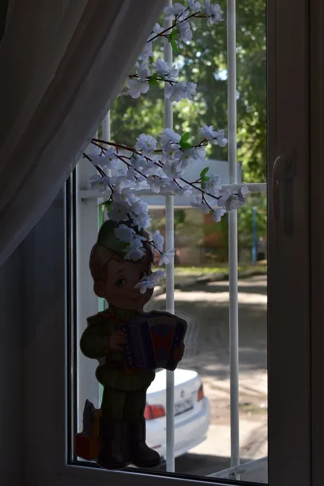 Земляне (1)