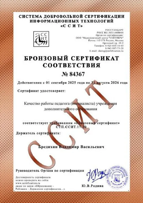 Бредихин_1