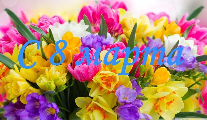 заставка