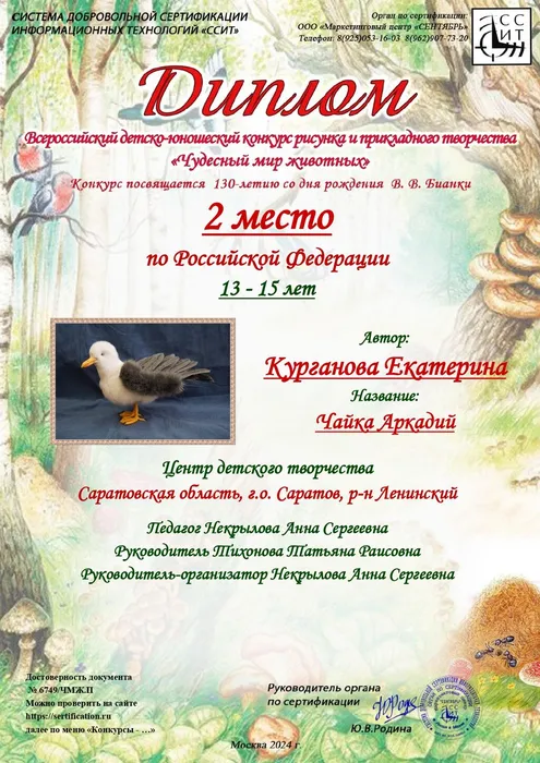 6749_page-0001