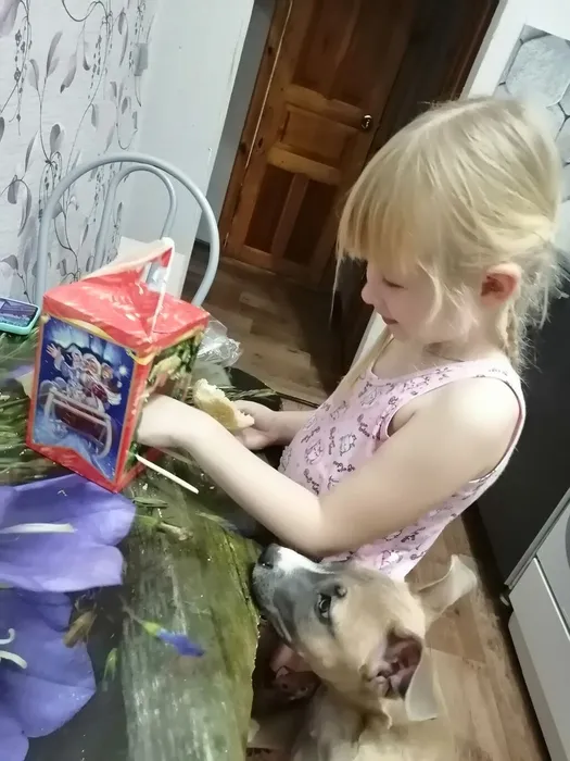 изображение_viber_2023-11-16_20-03-25-312