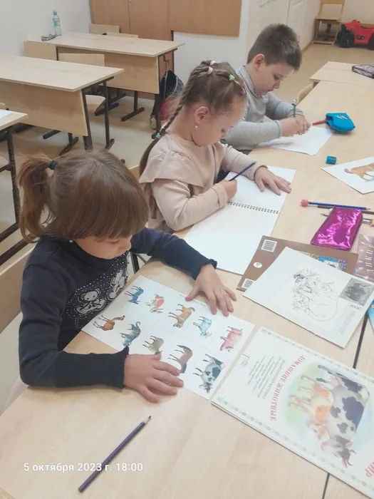 изображение_viber_2023-10-05_20-10-05-825